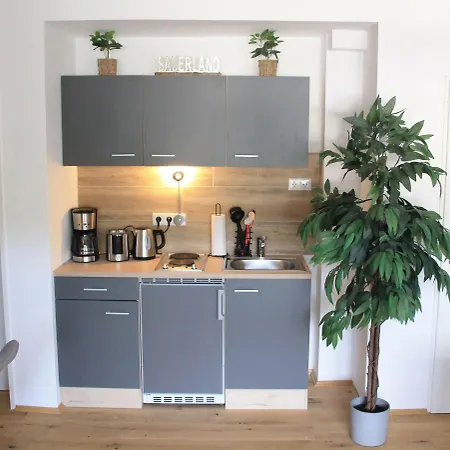 Ferienwohnung-sonnenblick-willingen Apartament *