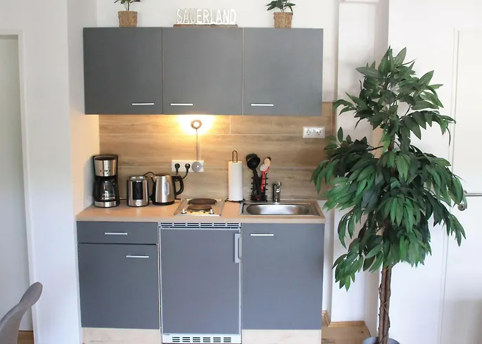 Ferienwohnung-sonnenblick-willingen Appartamento *